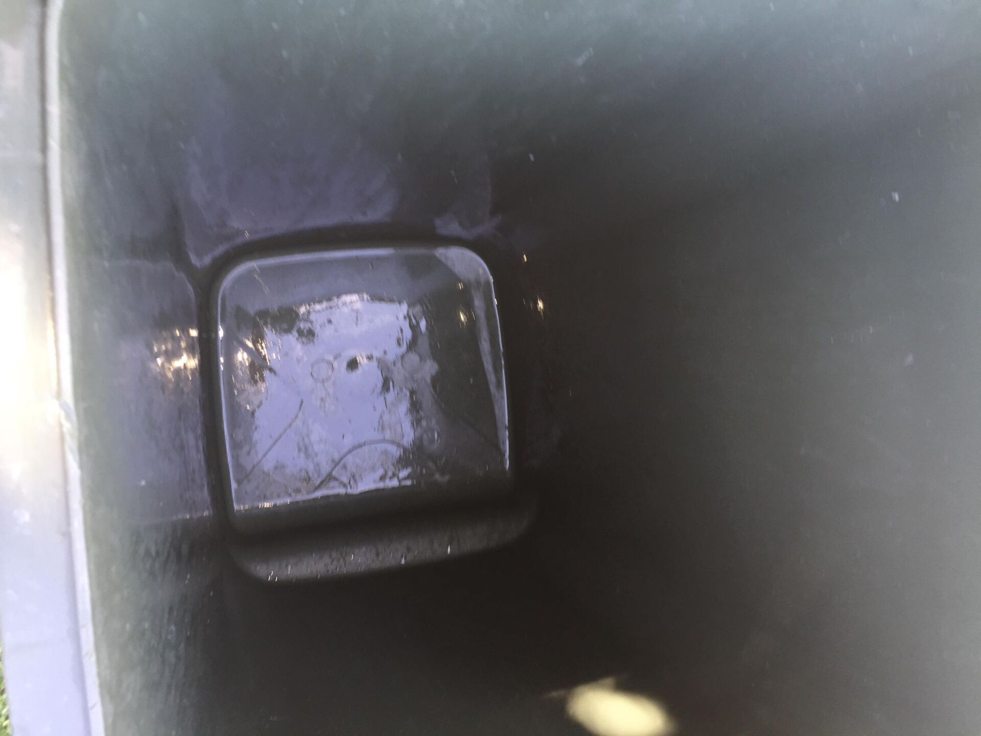 Clean bin in Bayside