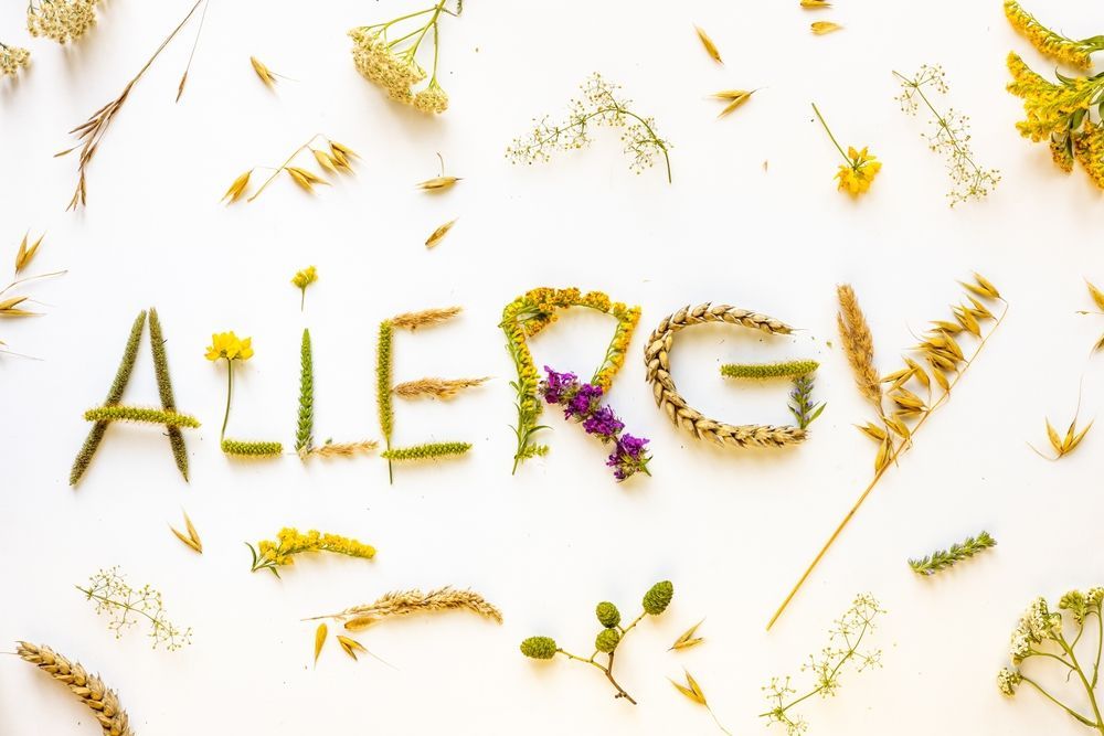 The word allergy is written with flowers on a white background.