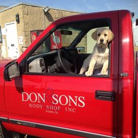 A dog is sitting in a red don sons body shop truck | Don & Sons Body Shop