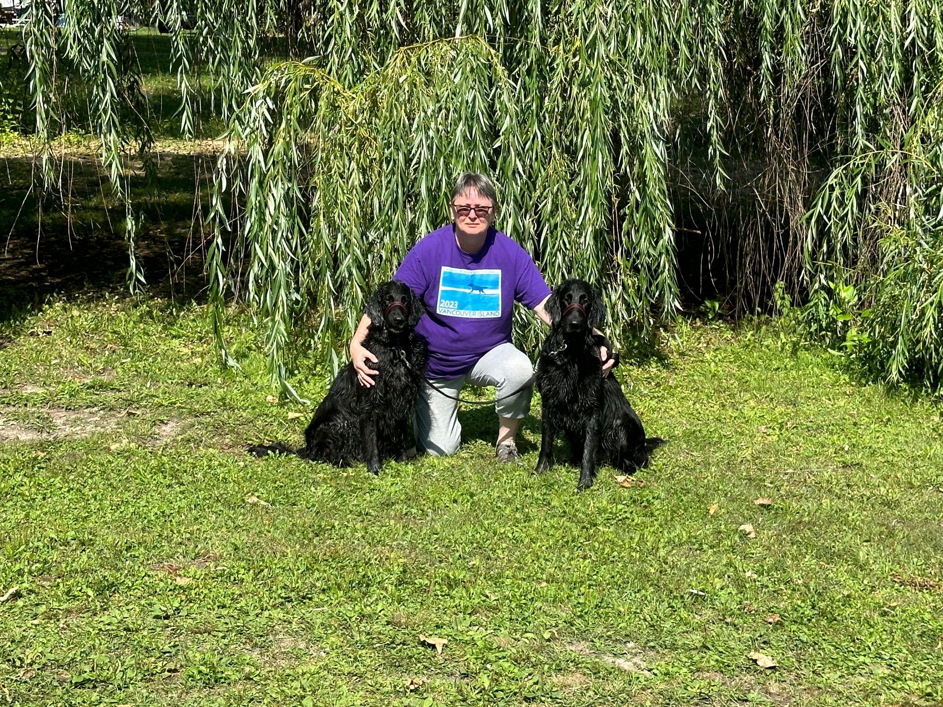 Woman with her two Highpoint Flatcoated Retrievers