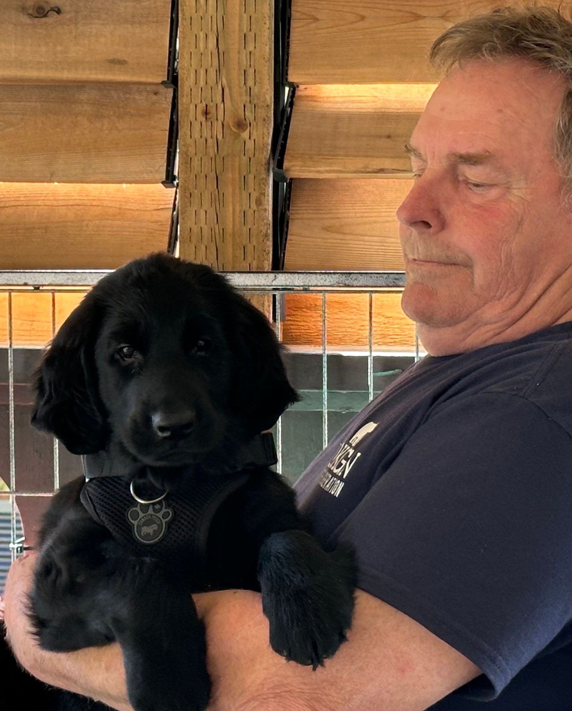A man in a blue shirt is holding a black flatcoated puppy
