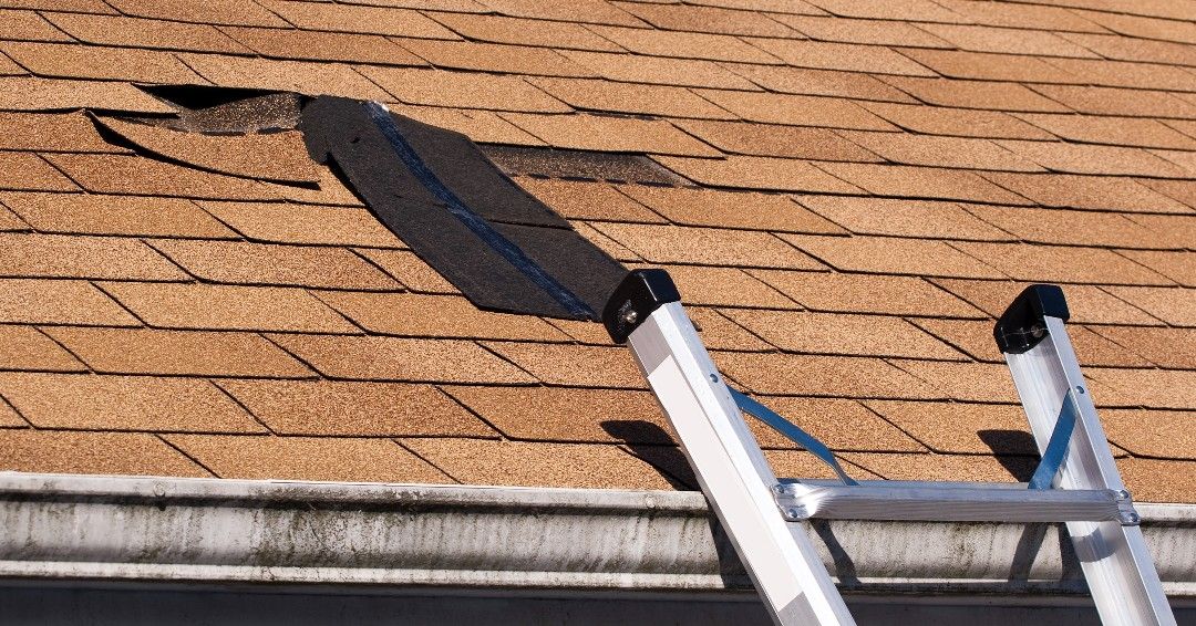 Roofing ladder on a shingled roof with a worker’s tool or leg visible at the top