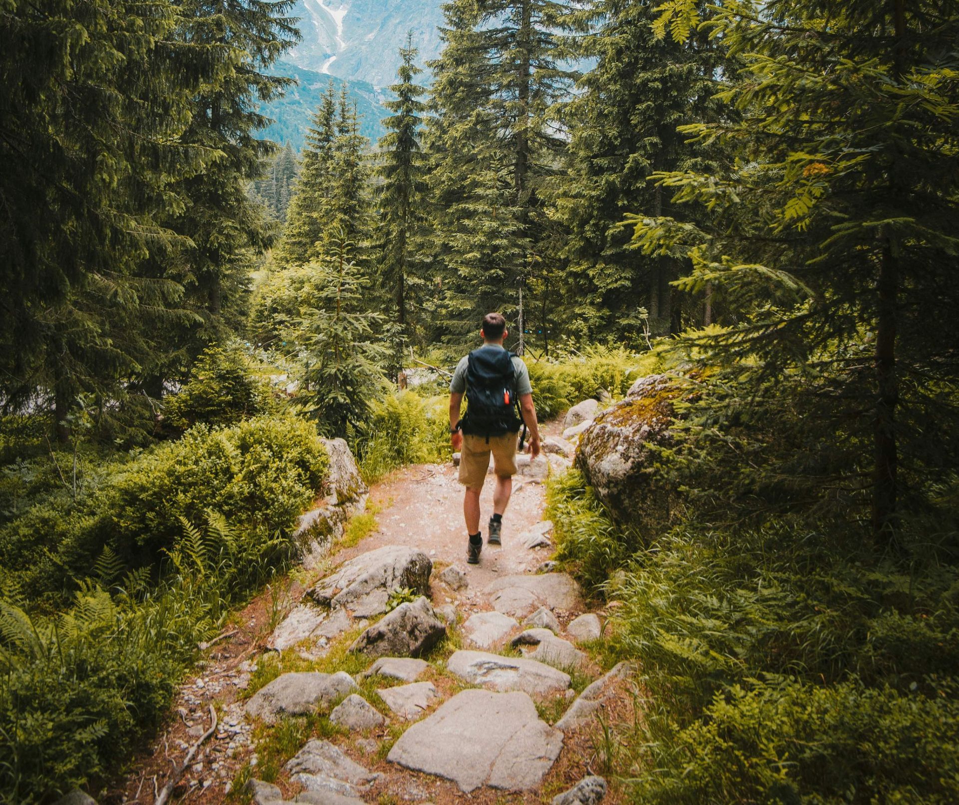 Hiker walking along a rocky forest trail with tall pine trees and mountains in the background