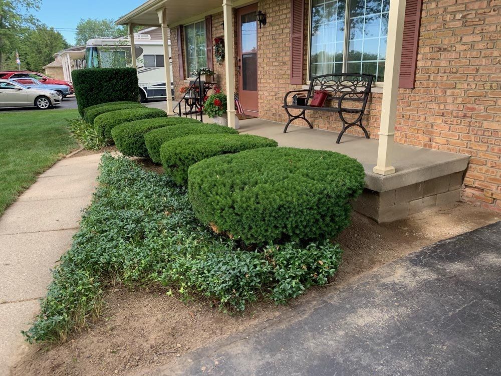 A tree is surrounded by rocks in the shape of a heart. mulch