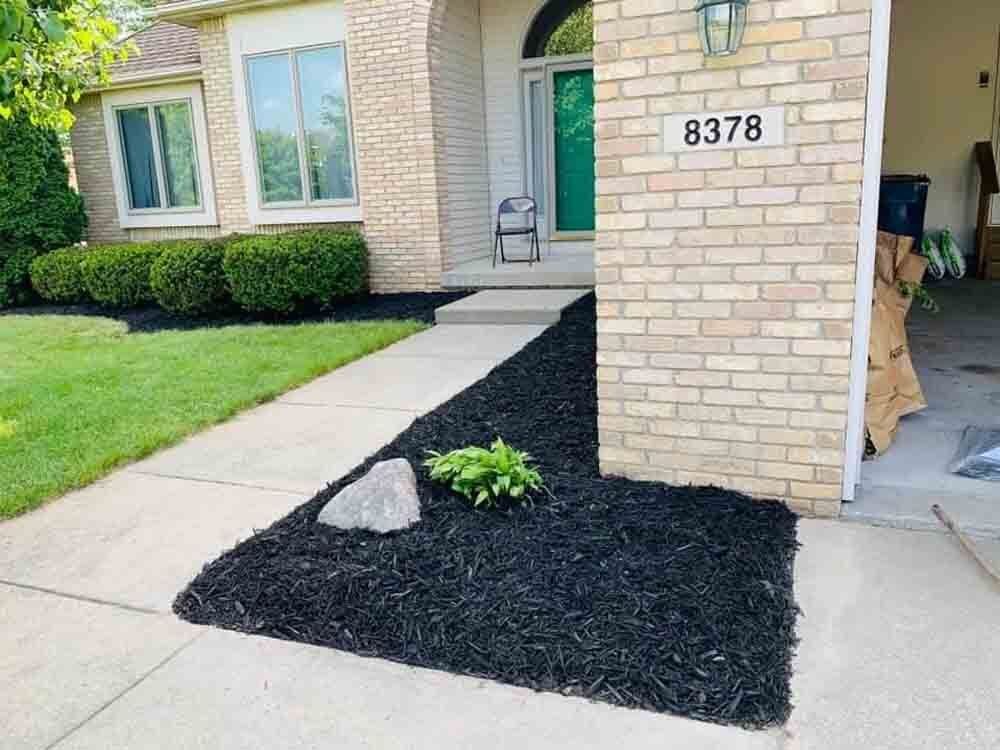 There is a bush in the middle of the yard in front of a house. retaining wall.