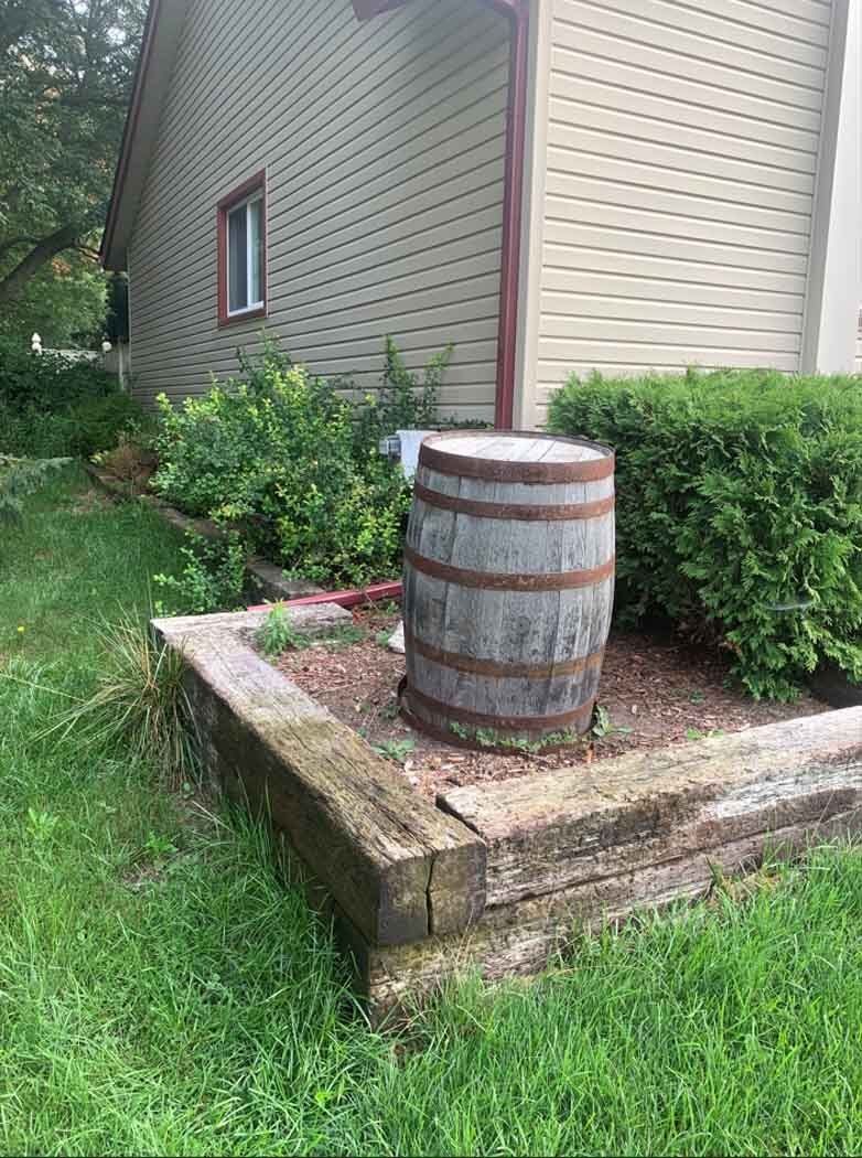 A wooden barrel is sitting on top of a pile of red mulch in a garden. mulch