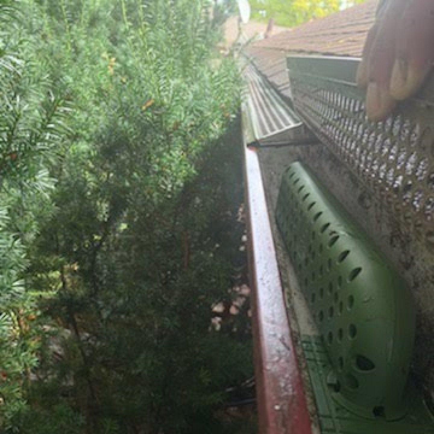 gutter brightening, leaf removal