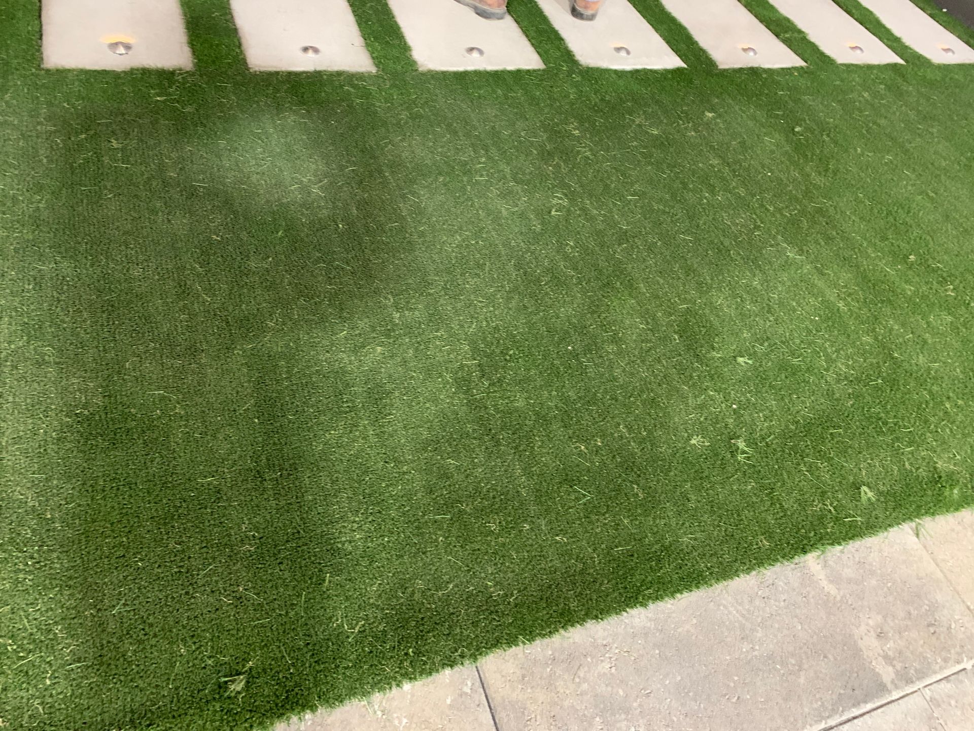 Lawn Regrading and Sod Installation