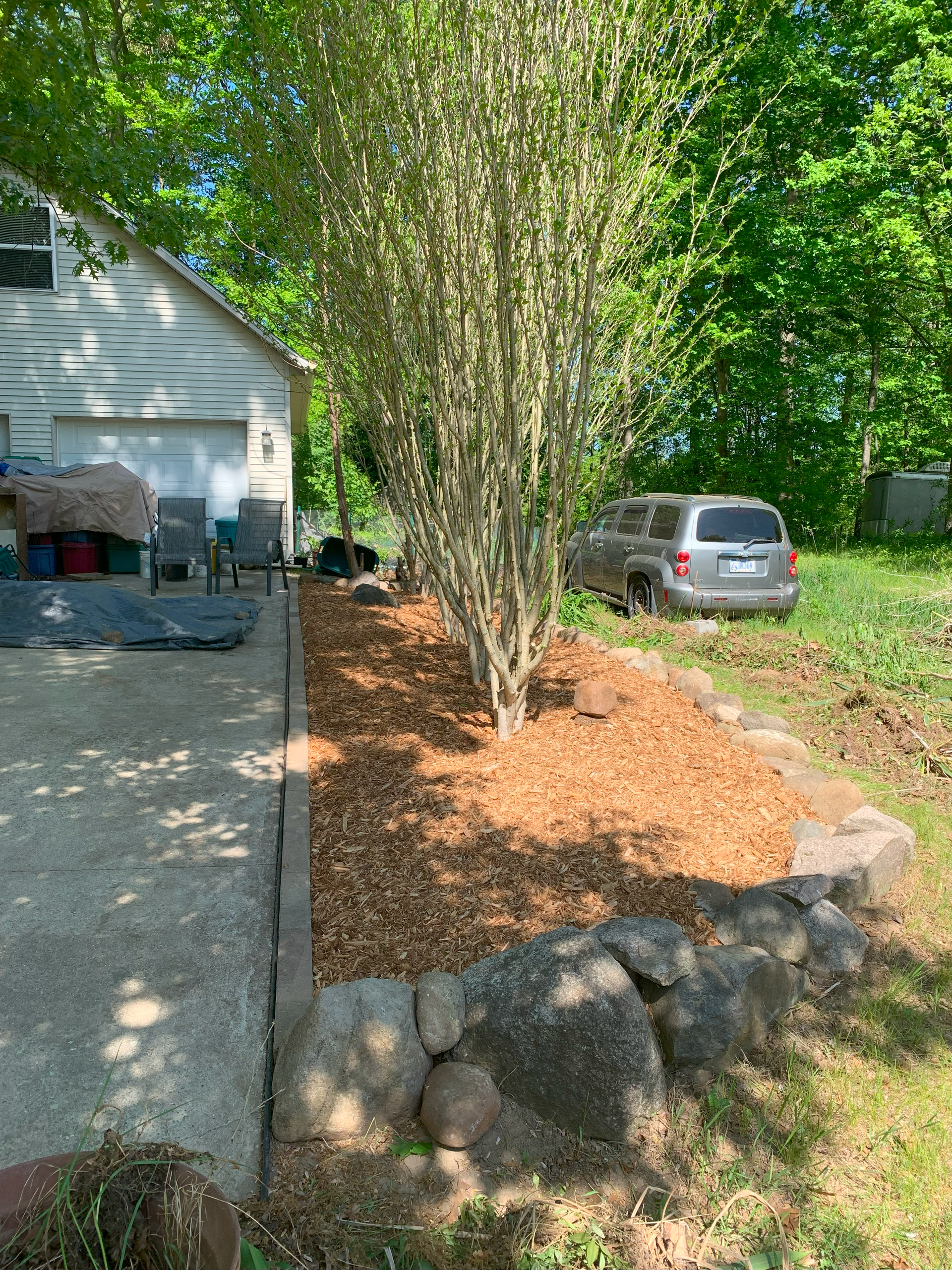 A man in a yellow shirt is cutting a tree in front of a house. TREE TRIMMING