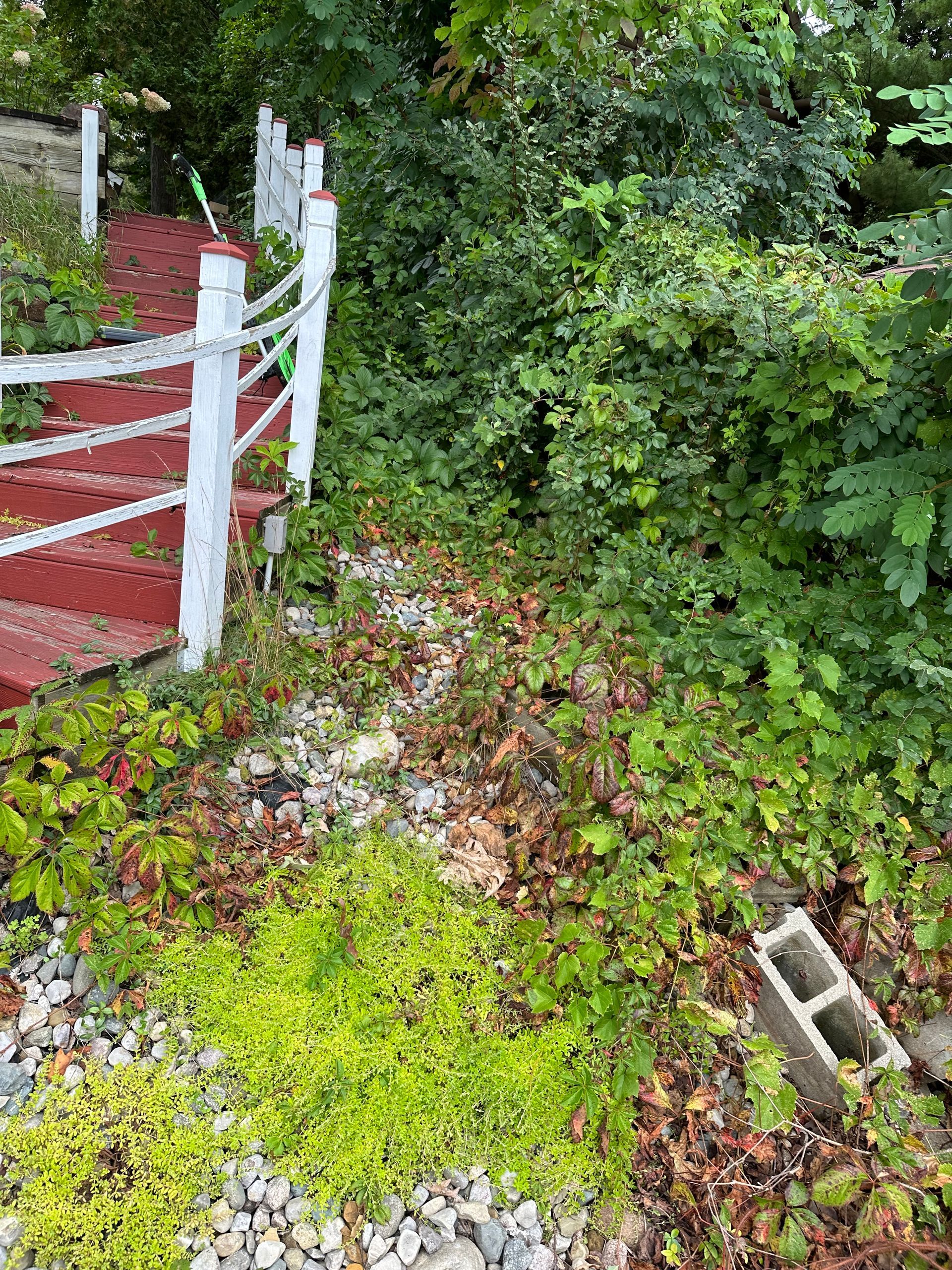 a white fence is surrounded by plants and rocks in a garden .