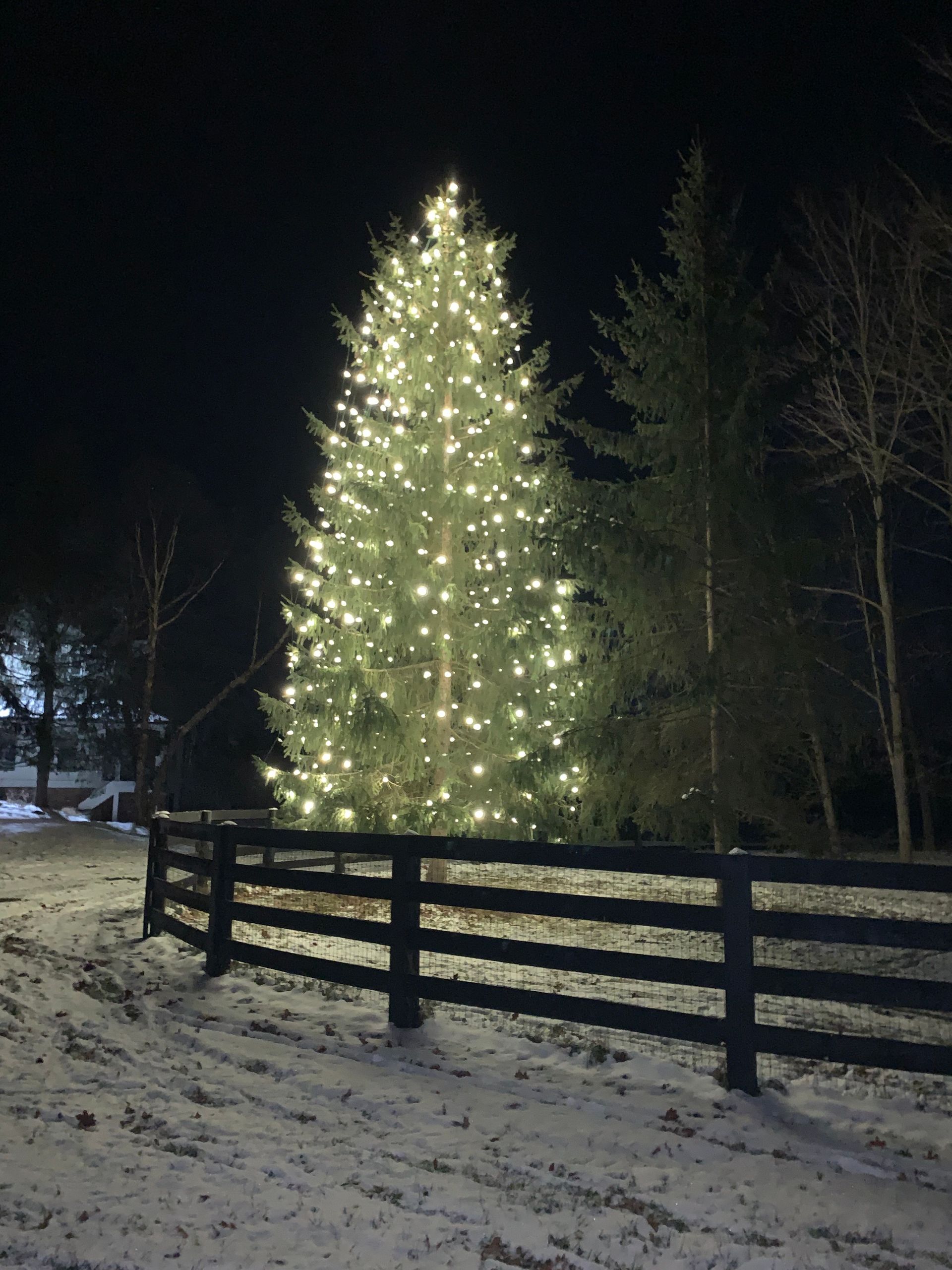 Christmas Light Installation