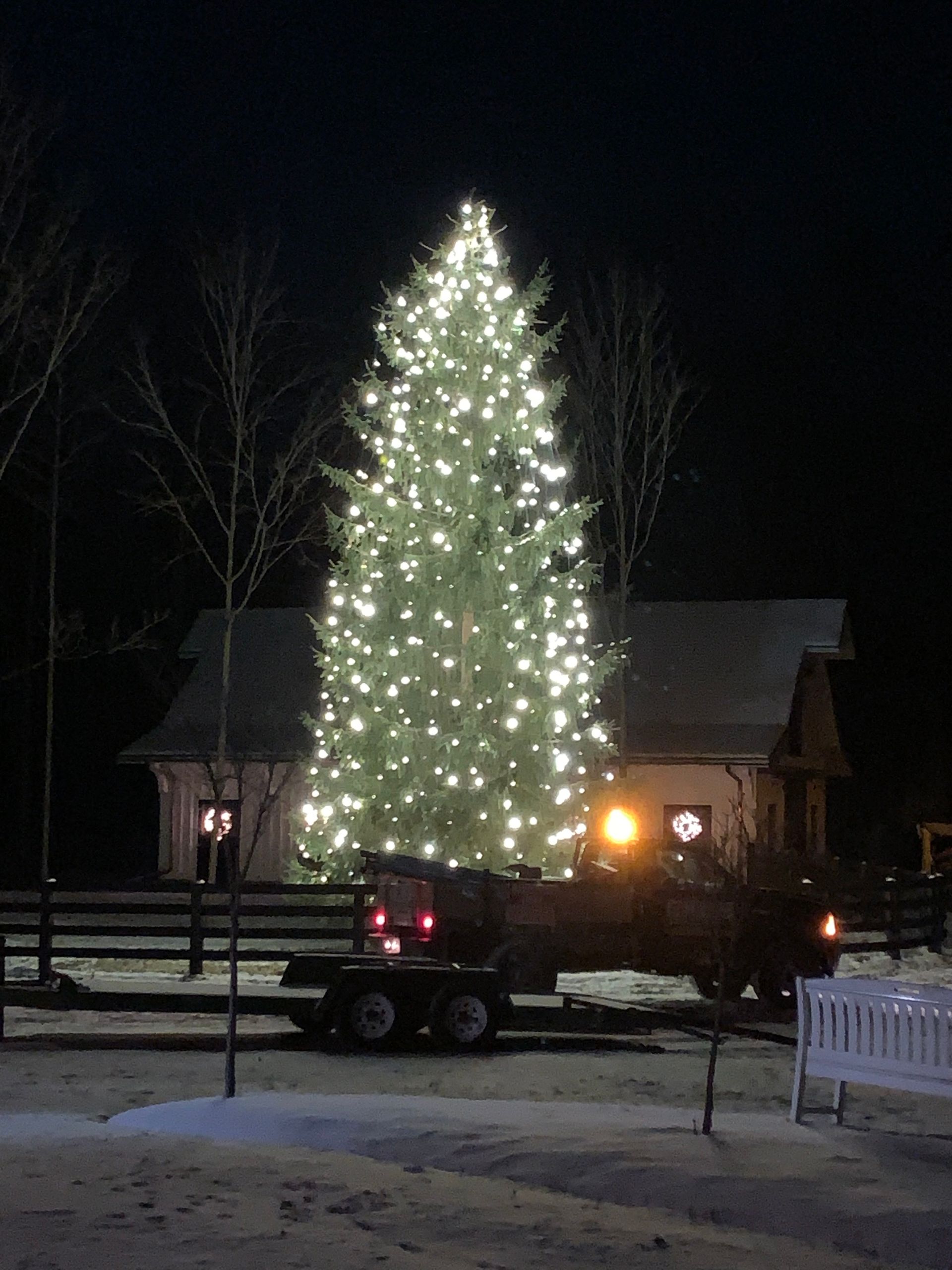 Christmas Light Installation