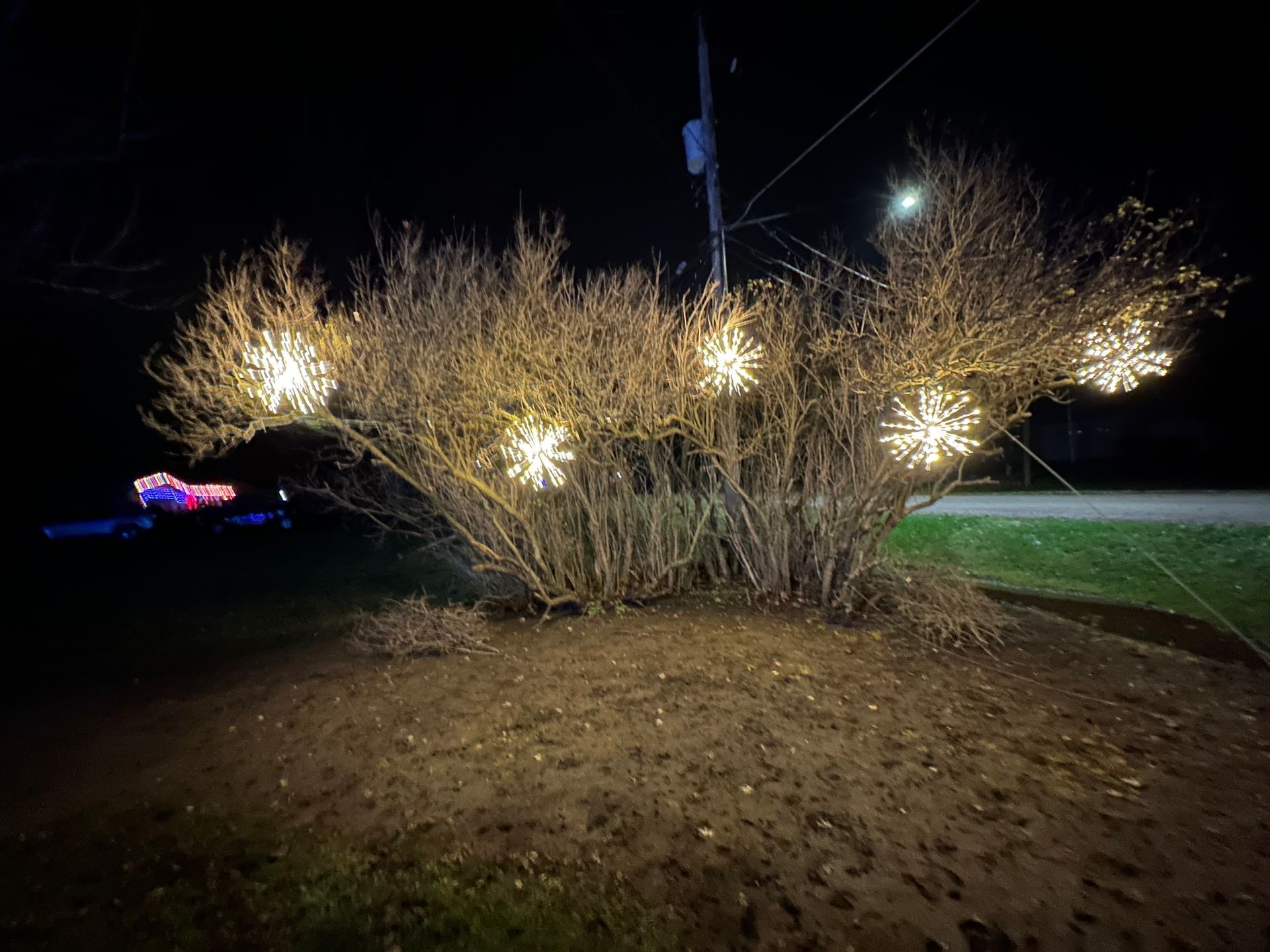 Holiday Lighting