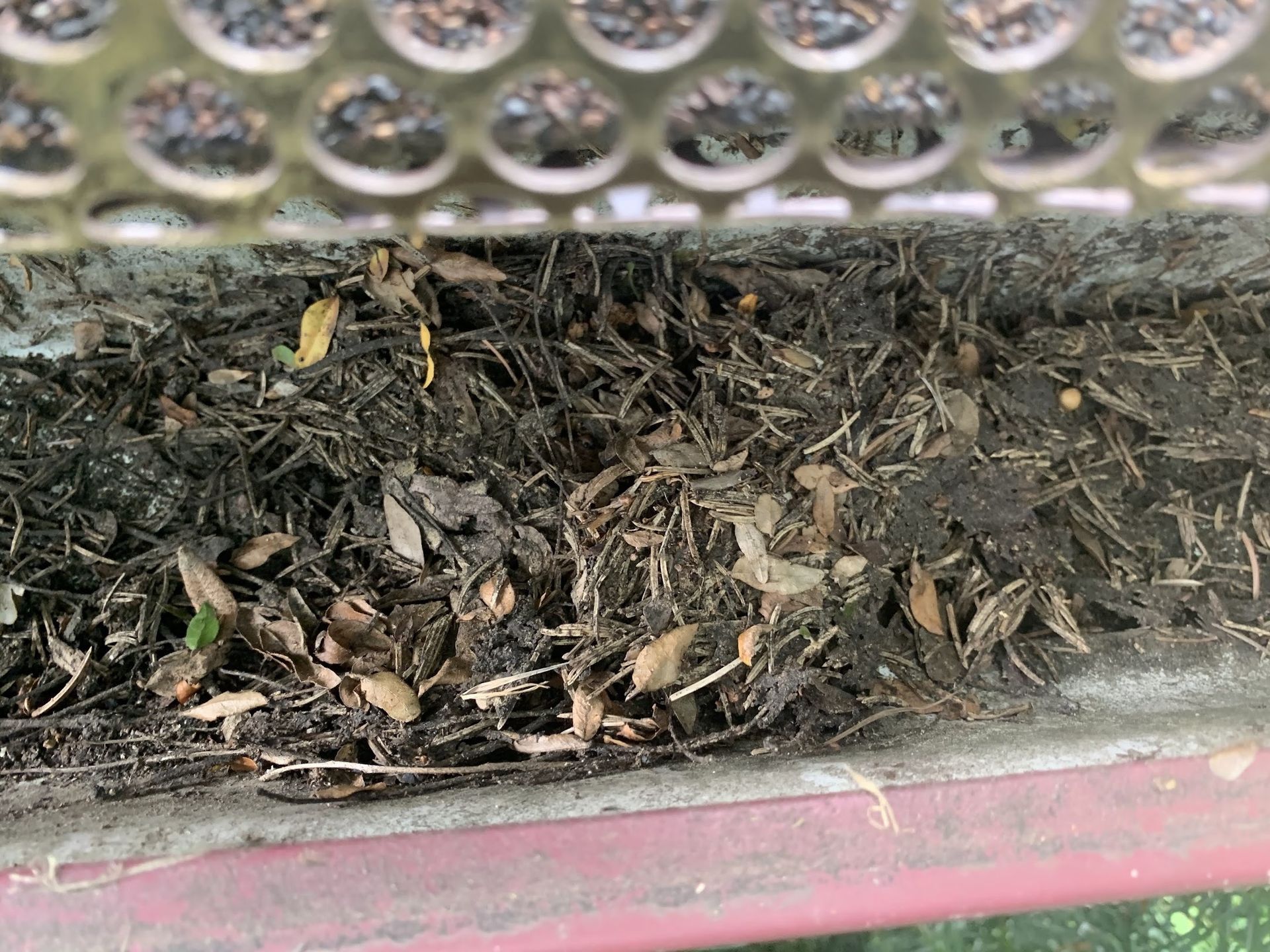 clogged gutters