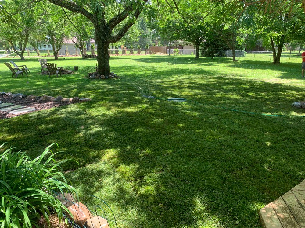 Lawn Regrading and Sod Installation