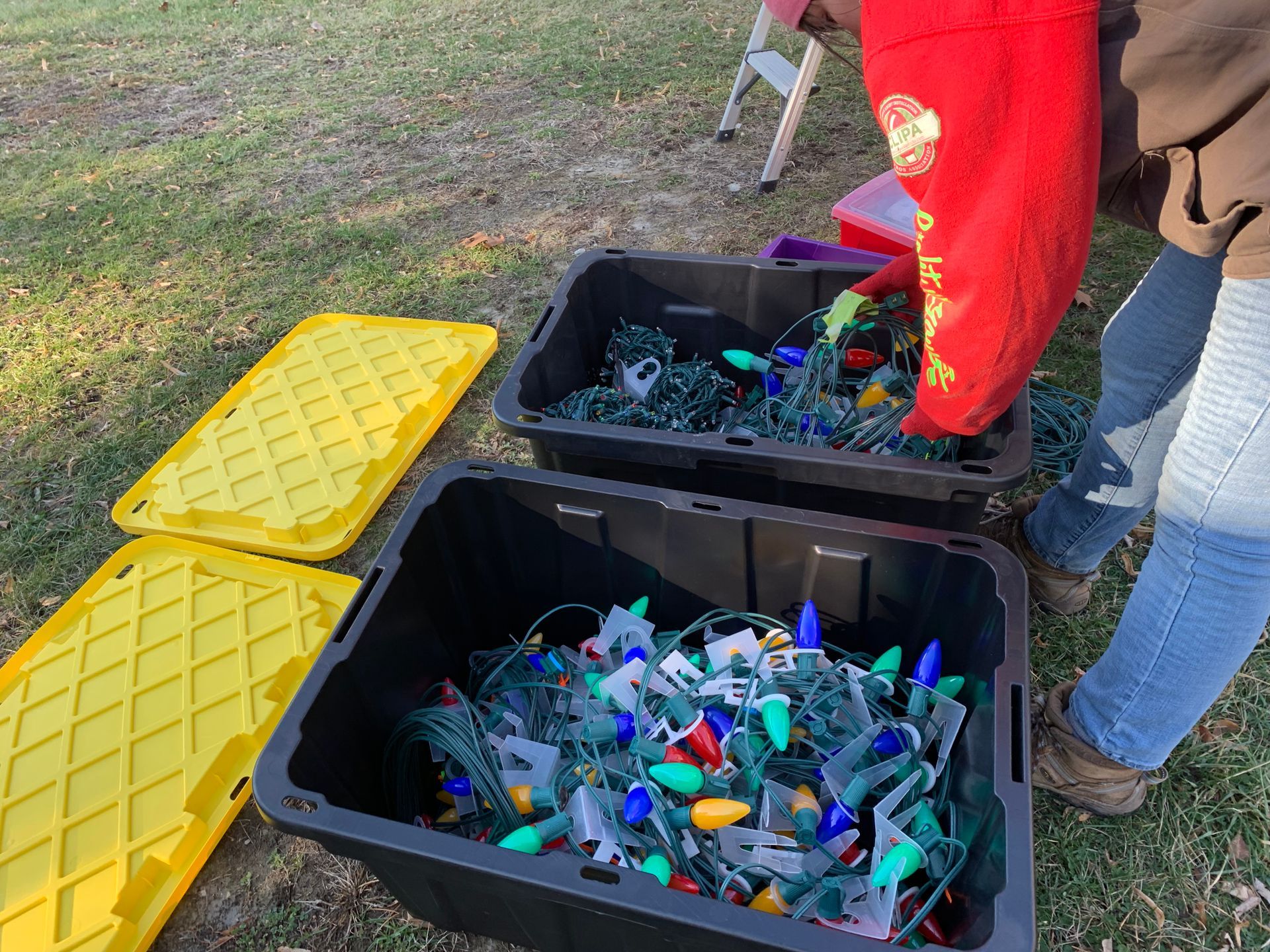 Christmas Light Installation