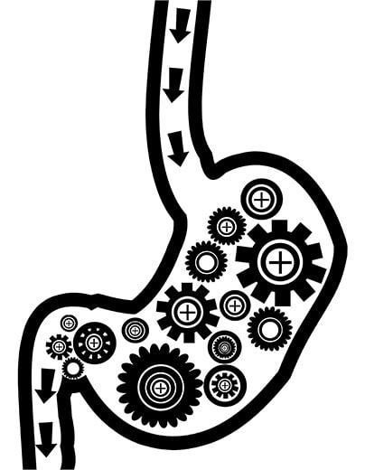 DR. JORGE WILLIAMS VICTORIA