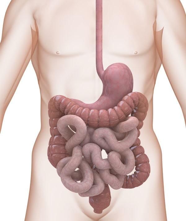 DR. JORGE WILLIAMS VICTORIA