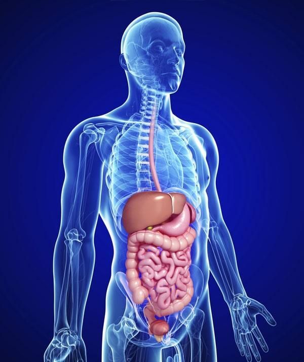 DR. JORGE WILLIAMS VICTORIA