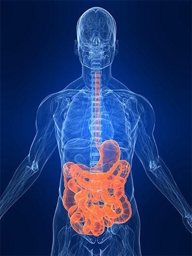 DR. JORGE WILLIAMS VICTORIA