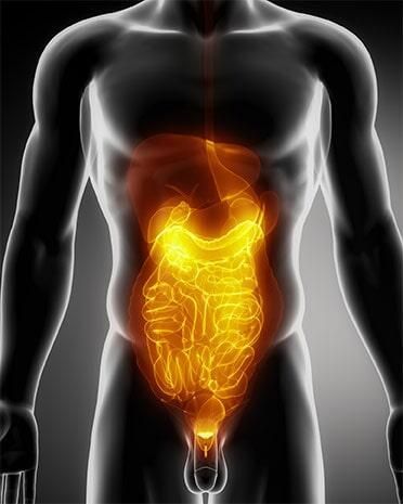 DR. JORGE WILLIAMS VICTORIA