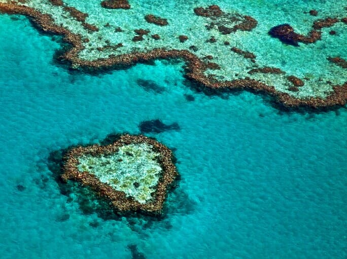 Australia Heart Reef — Scuba Diving Vacations in Colleyville, TX