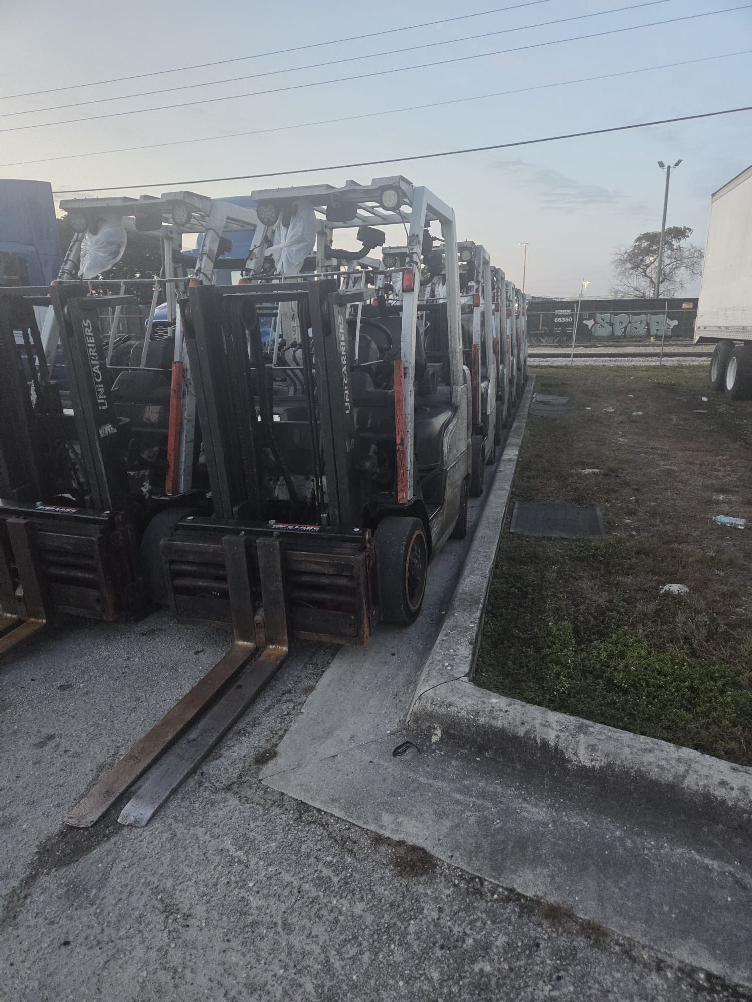 Line of forklifts parked along a concrete curb in an outdoor lot.