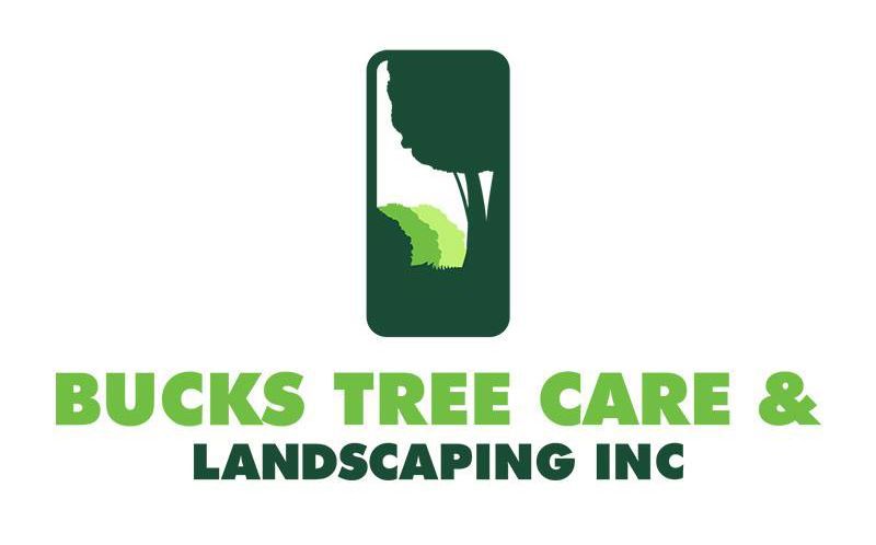 Bucks Tree Care & Landscaping Inc