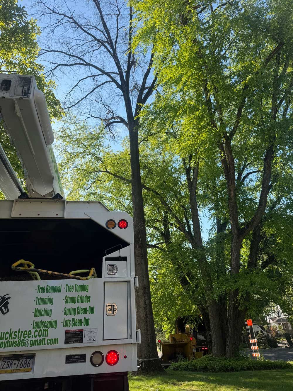 Utility truck beside tall green trees on a sunny street, with a worker visible in the background.