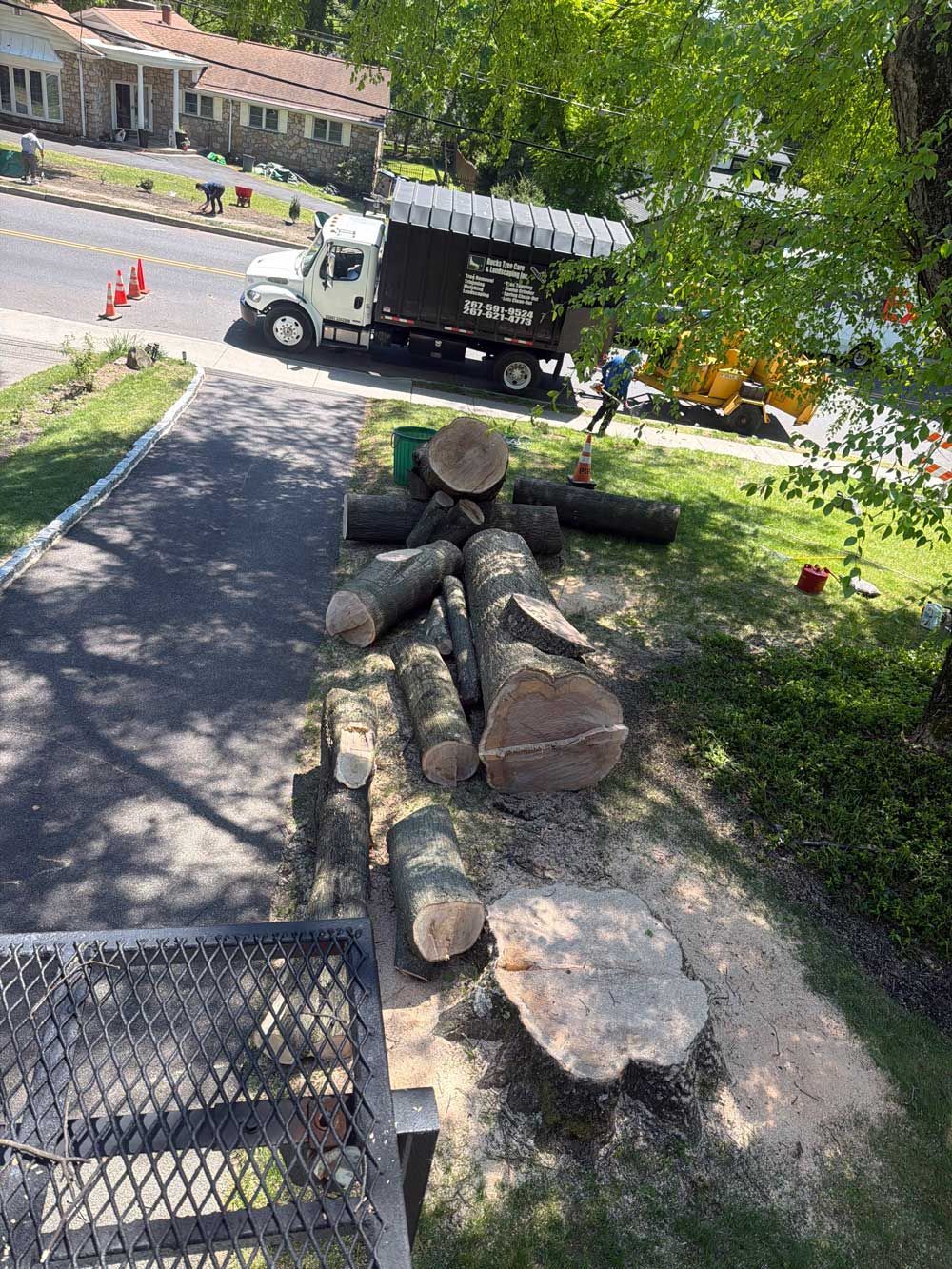 Stacked cut logs beside a sidewalk, with a truck parked on the street and trees overhead.