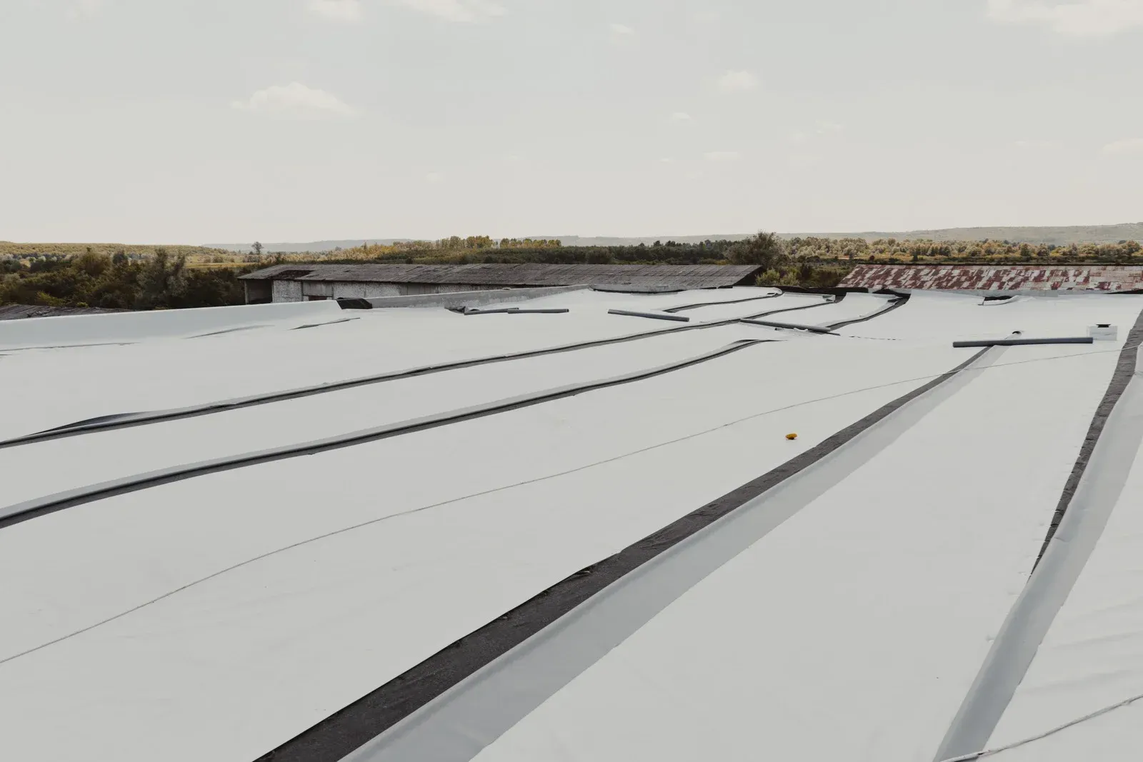 White rooftop expanse with dark lines, trees in the distance, and a clear sky.