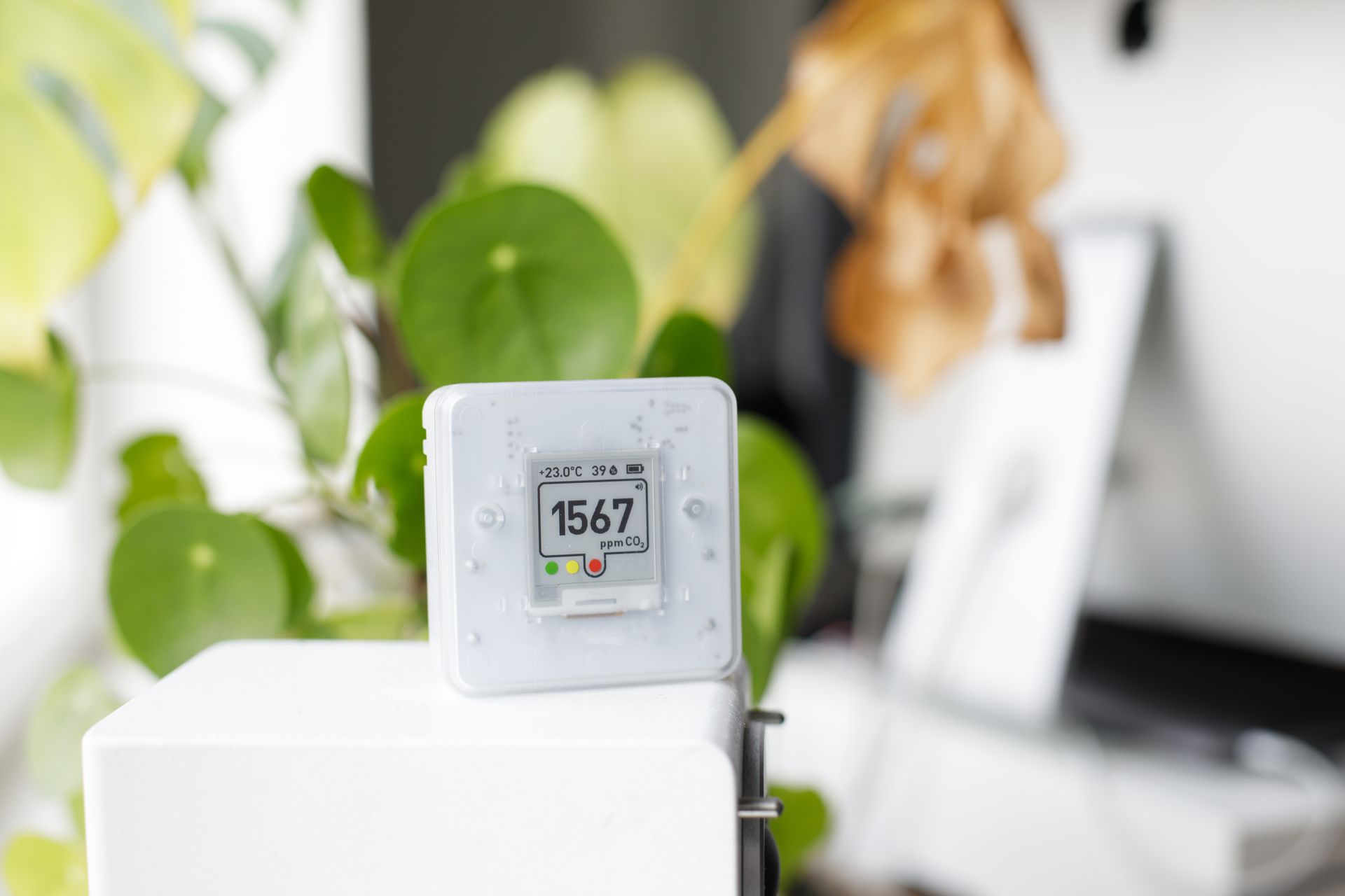 White air quality monitor with display showing 1567, placed on a white cube, with leafy green plants in background.