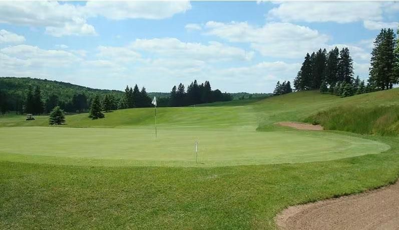 A golf course with a green and trees in the background