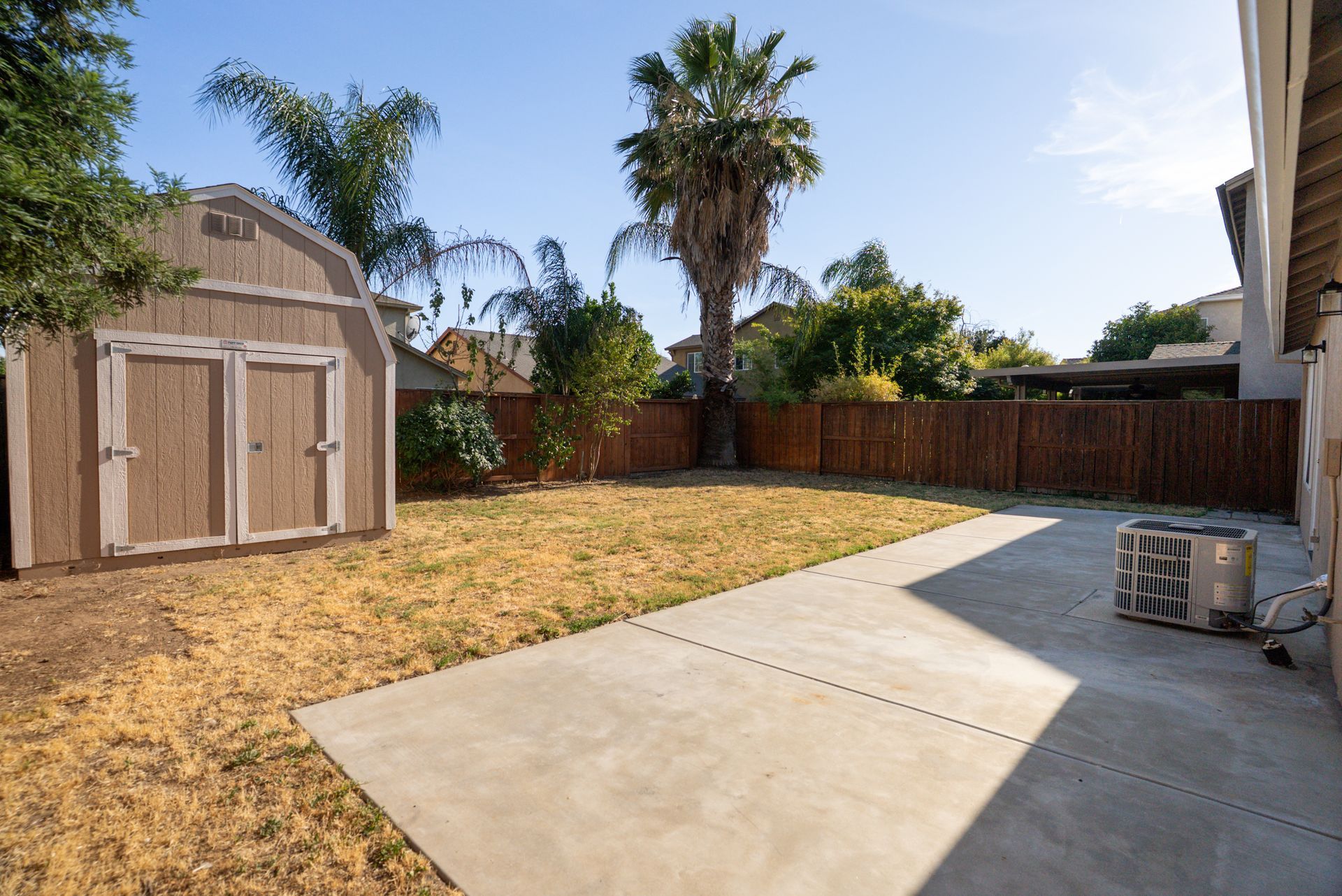 Backyard with shed, palm tree, concrete patio, and brown fence.