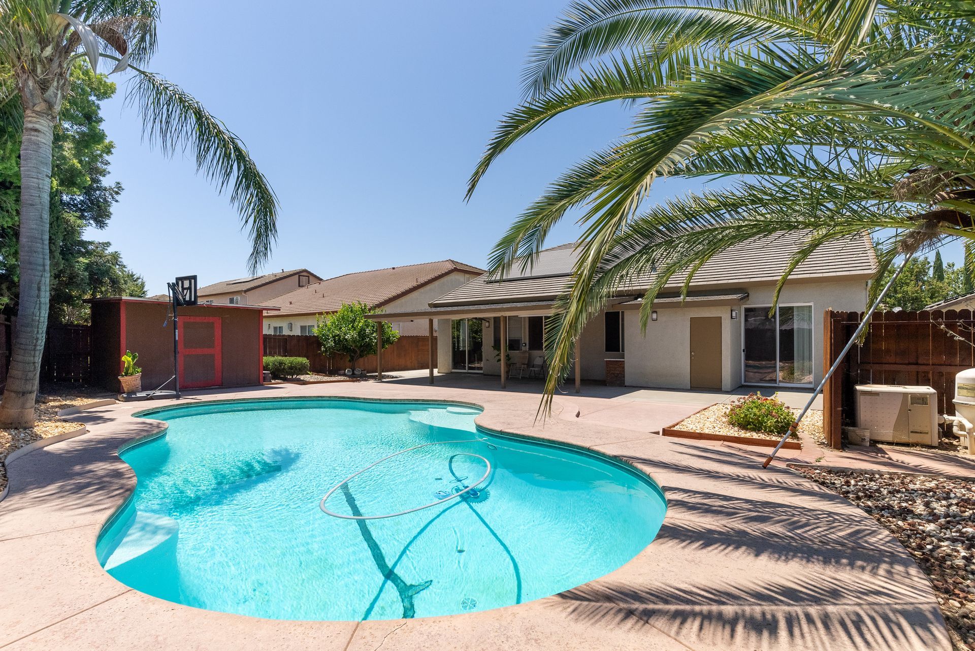 Backyard with blue pool, palm trees, and a light-colored house on a sunny day.