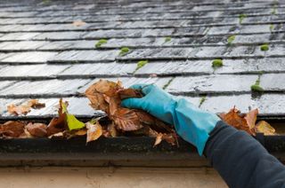 Cleaning out a leaf filled gutter