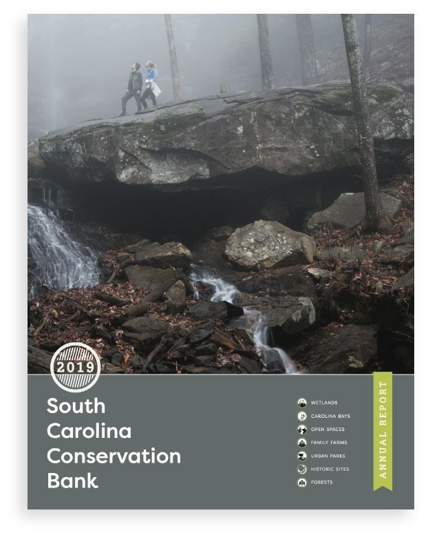 2019 Annual Report Cover