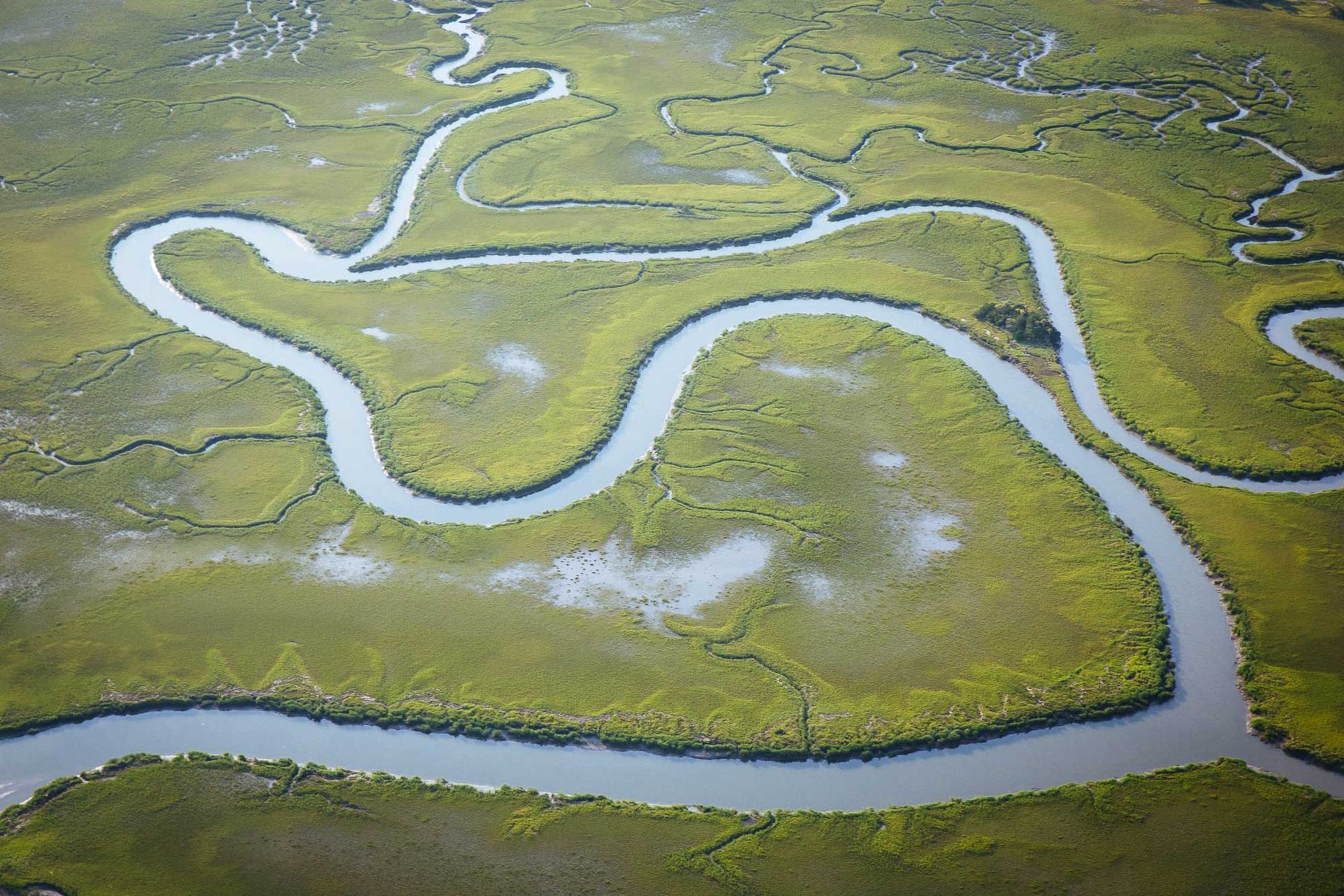 An aerial view of the winding salt marsh of the South Carolina Lowcountry. Photo provided by Mac Stone.