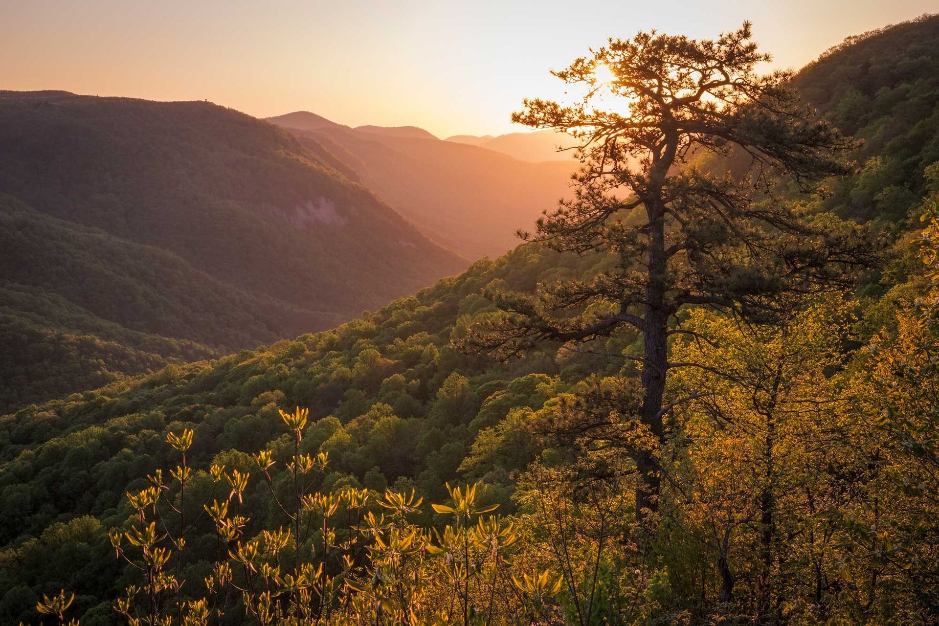 The view toward Rim of the Gap Trail and Jones Gap State Park. Photo provided by Mac Stone.