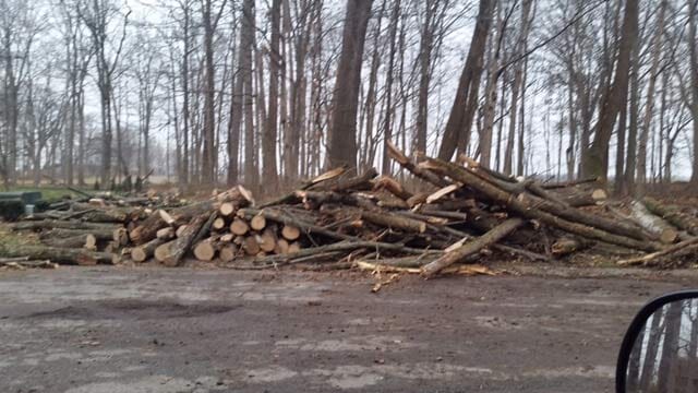 Stacked Logs — Tree Service in Indianapolis, IN