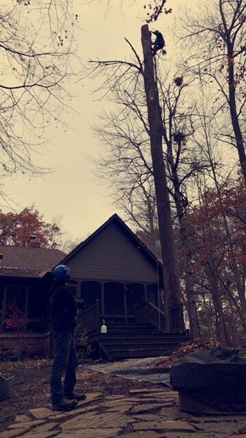 A man front of  tree and back in home — Tree Service in Indianapolis, IN