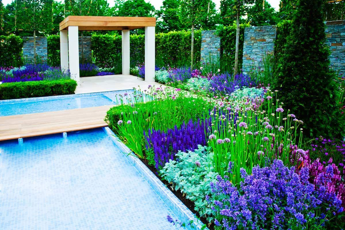 A Garden with Purple and Blue Flowers and A Blue Pool — Acres 2 Mow in Maitland, NSW