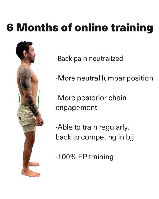 6 months of online training