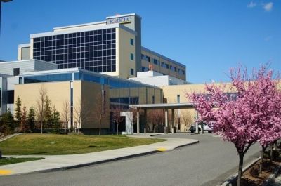 A large building with a cherry blossom tree in front of it