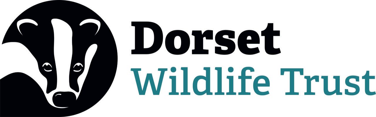 Dorset Wildlife Trust Logo