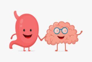gut and brain