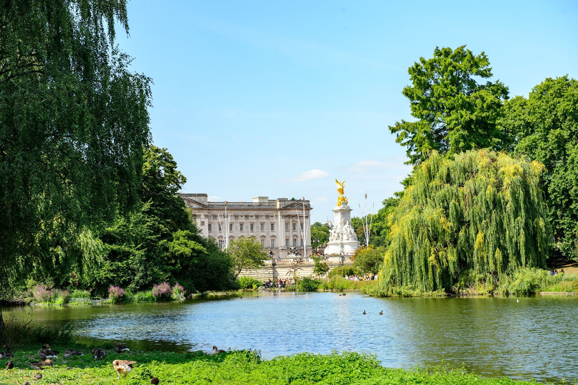 Buckingham Palace viewed from Green Park on a London sightseeing walk
