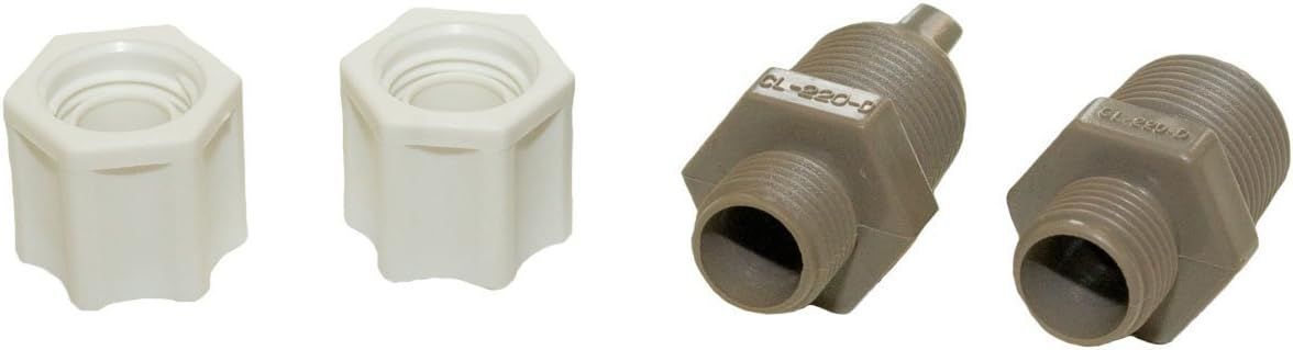 Three different types of nuts are shown on a white background