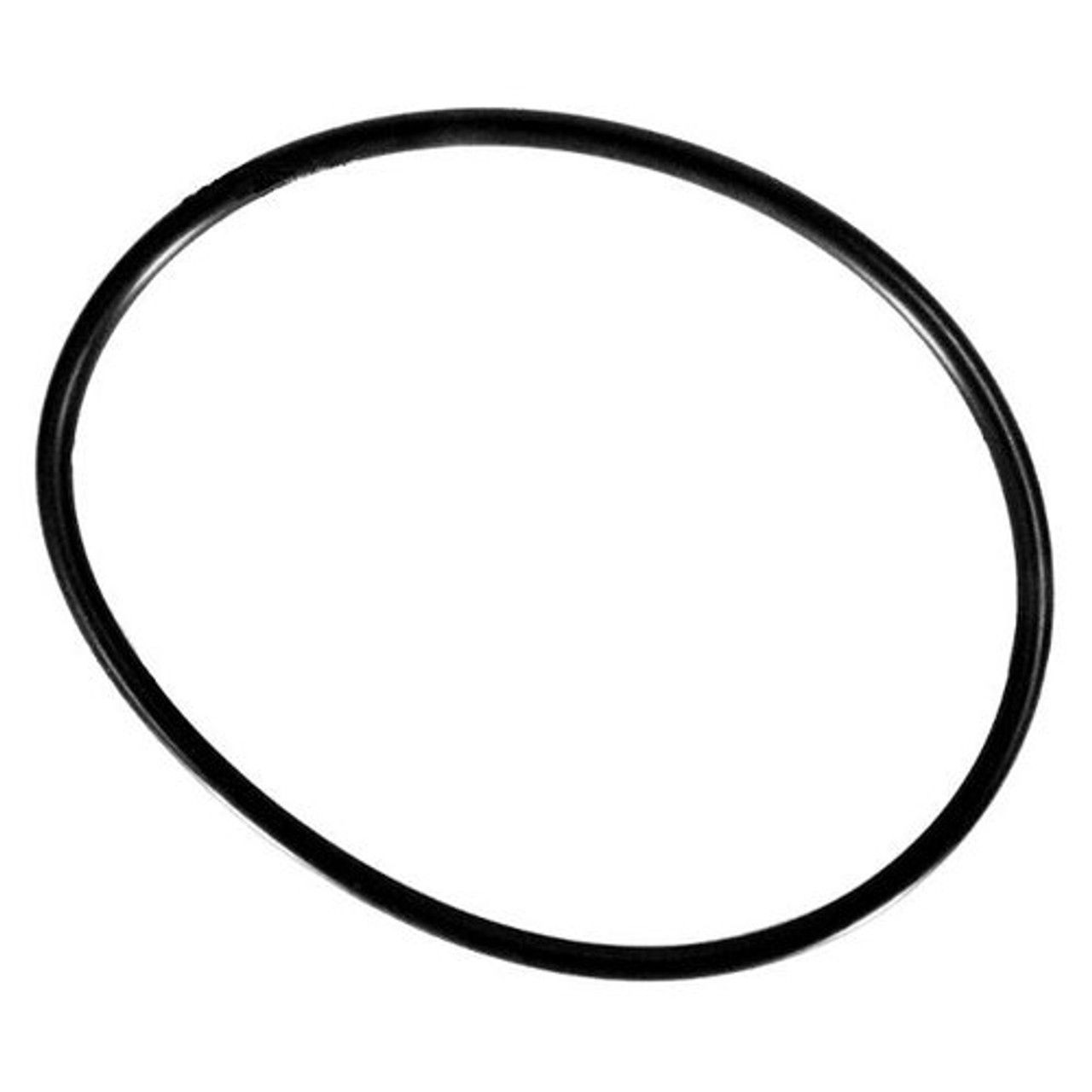 A black rubber ring on a white background.