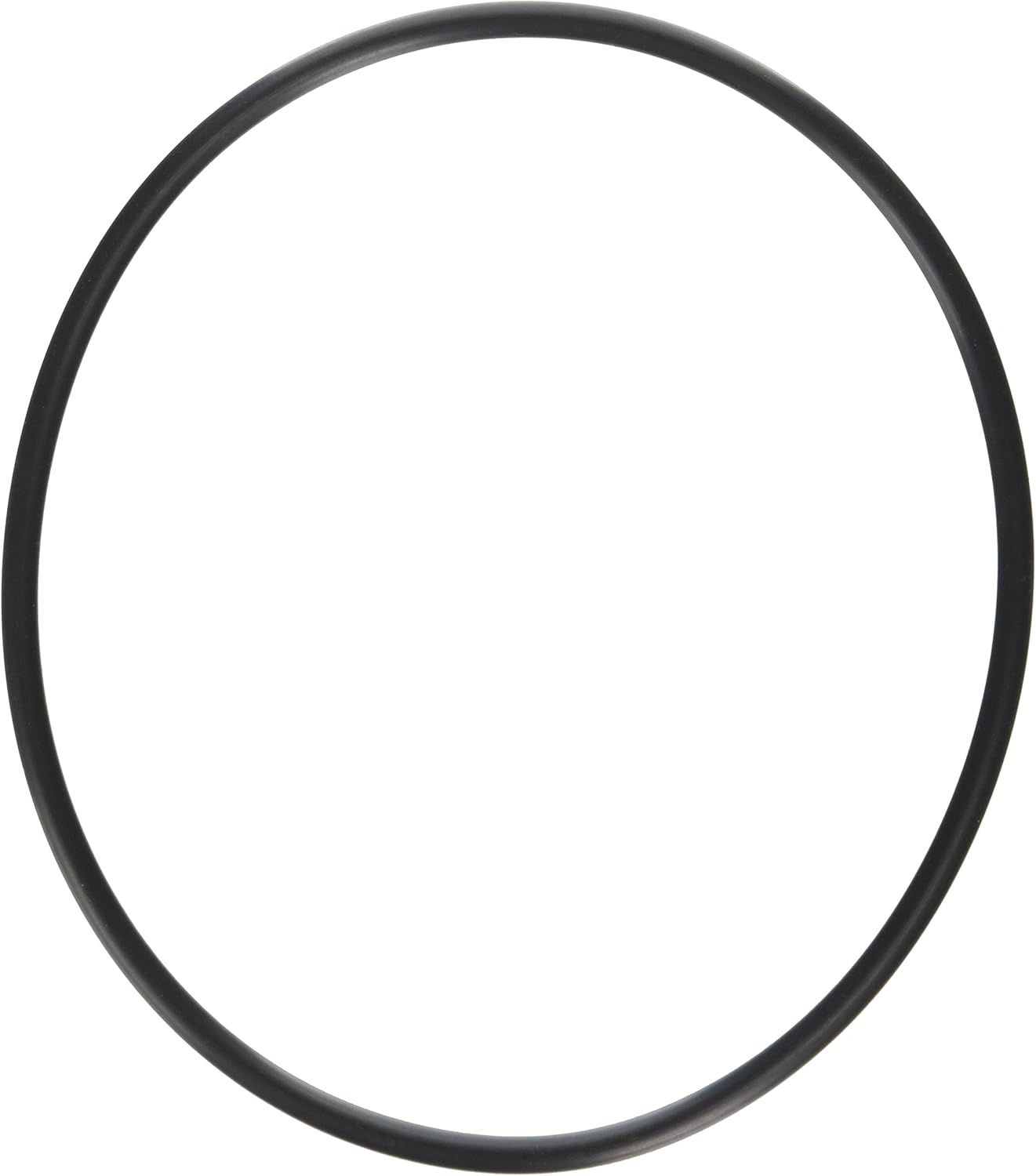 A black rubber ring on a white background